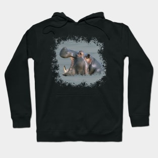 Hippo in Kenya / Africa Hoodie